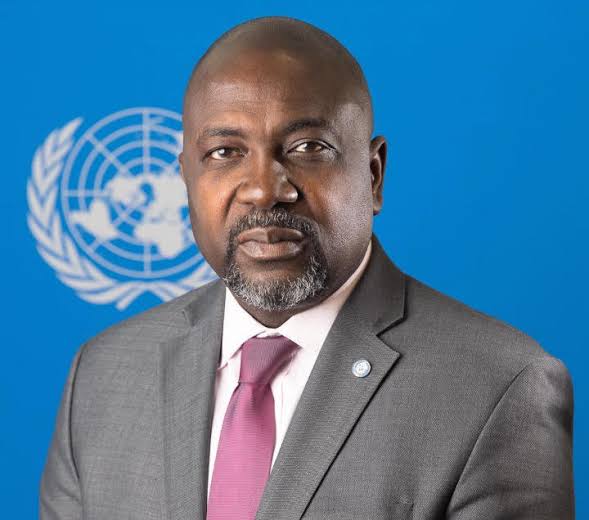 Adedeji Ebo,Director and Deputy to the High Representative of the United Nations Office of Disarmament Affairs (UNODA)