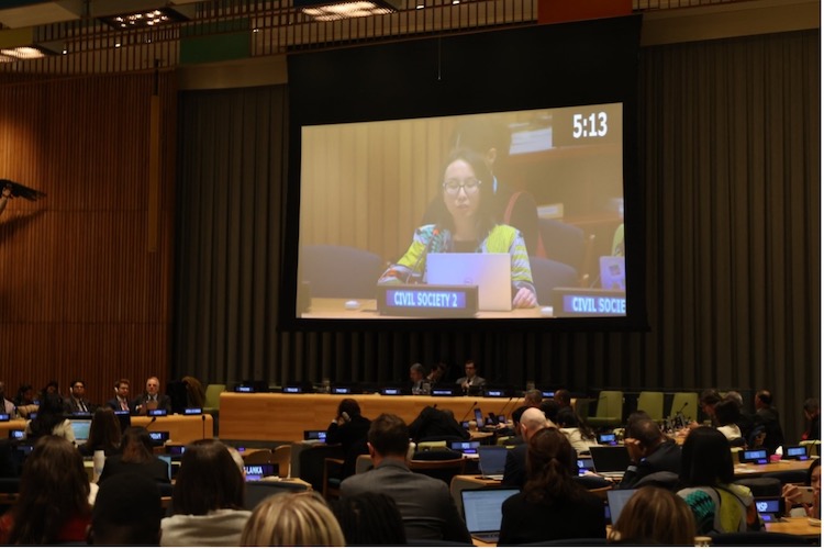 Photo: Anna Ikeda of SGI delivered a joint statement endorsed by 115 inter-faith and civil society organizations (CSOs) on 29 November. Photo Credit: SGI.