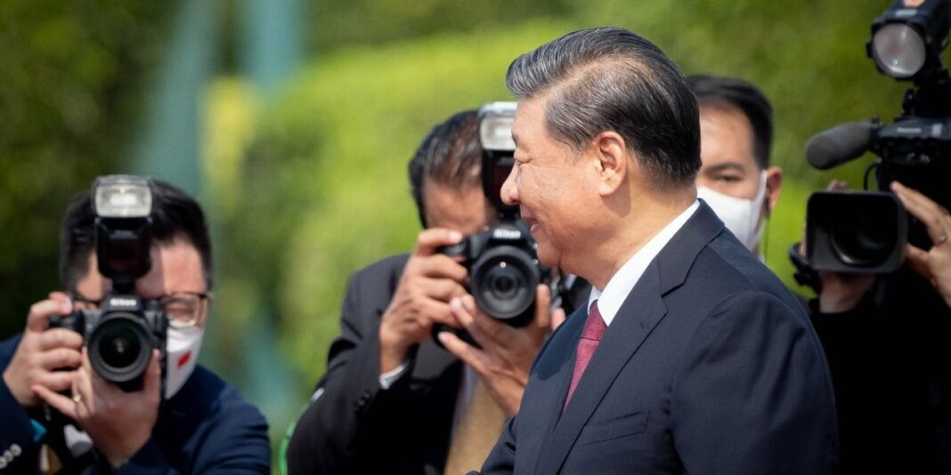 mage: Brickinfo Media / shutterstock.com