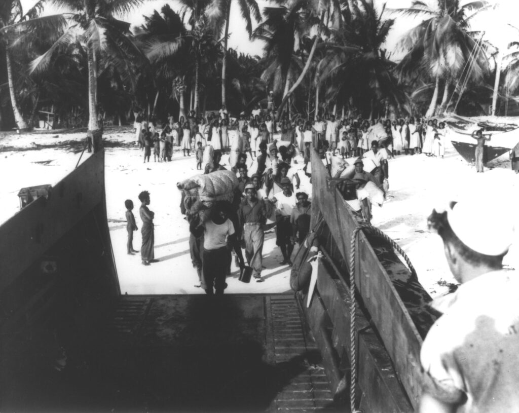 Image Credit:Jack Niedenthal